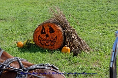 2015-10-04-116