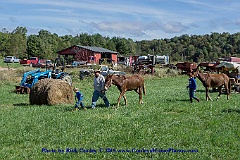 2015-10-04-123