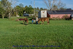 2015-10-04-127