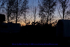 2015-10-04-139