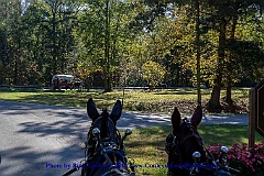 2015-10-07-023