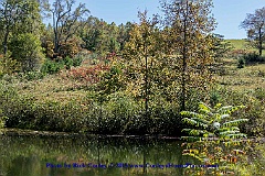 2015-10-07-059