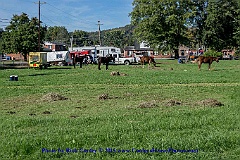 2015-10-08-005