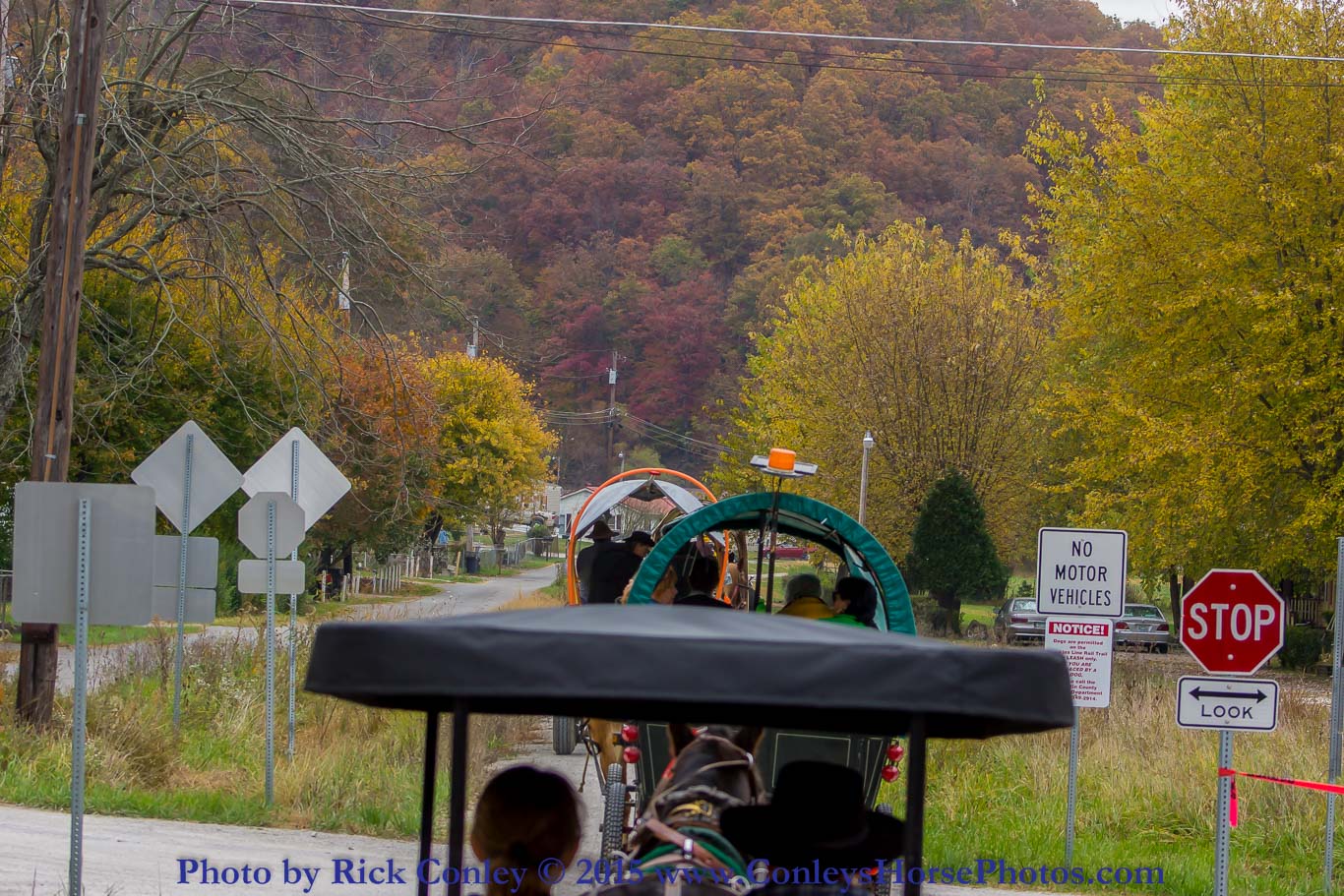 2015-10-24-031.jpg