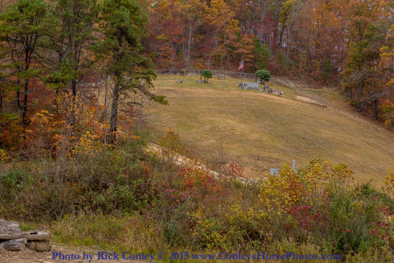 2015-10-24-047.jpg