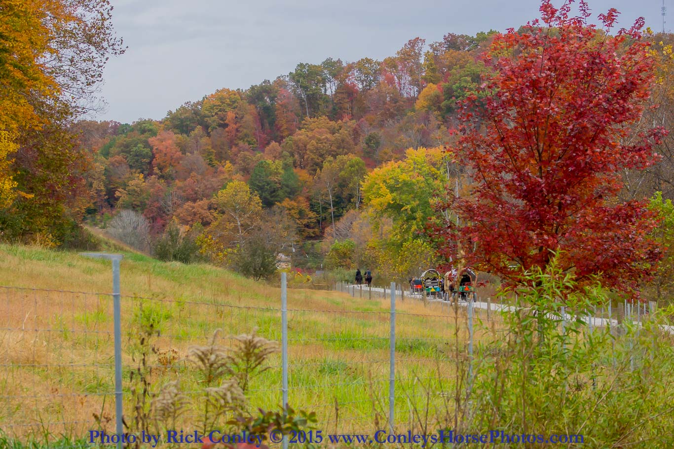 2015-10-24-054.jpg