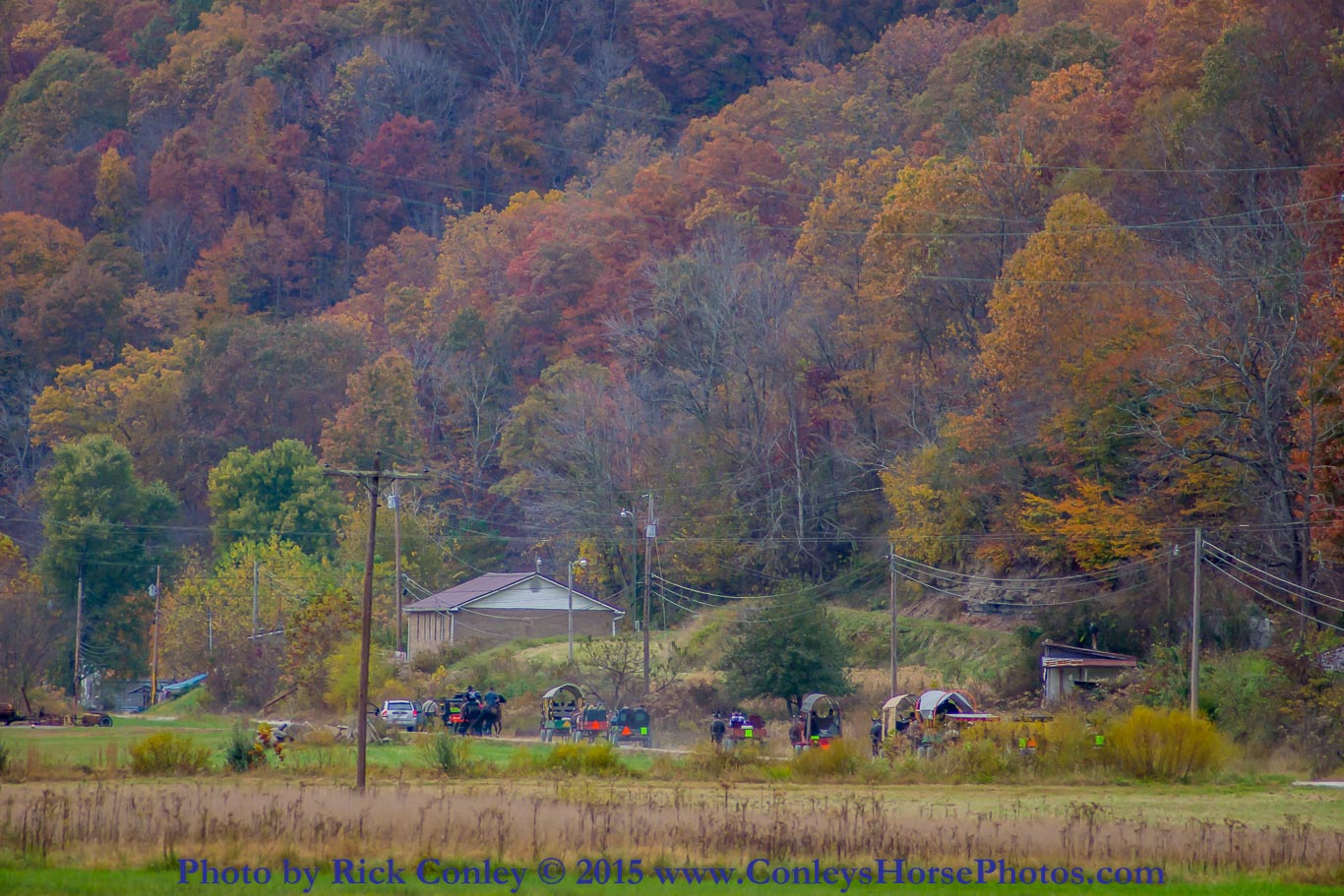 2015-10-24-140.jpg