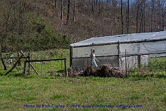 2016-03-28-049