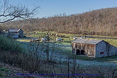 2016-03-29-029