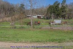 2016-03-29-051