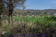 2016-03-29-076