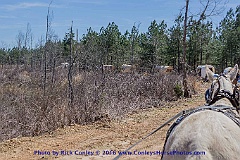 2016-03-29-115