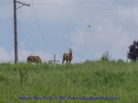2017-05-27-201