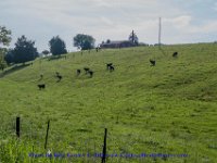 2017-07-13-063
