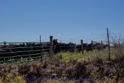 2017-09-10-094