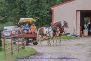 IMG 2220
