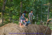 IMG 2484