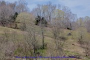 2019-04-01-142