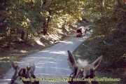 2022-10-10-081