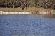 2024-10-04-043