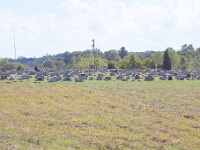 2025-10-04-071